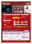 flier