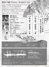 flier