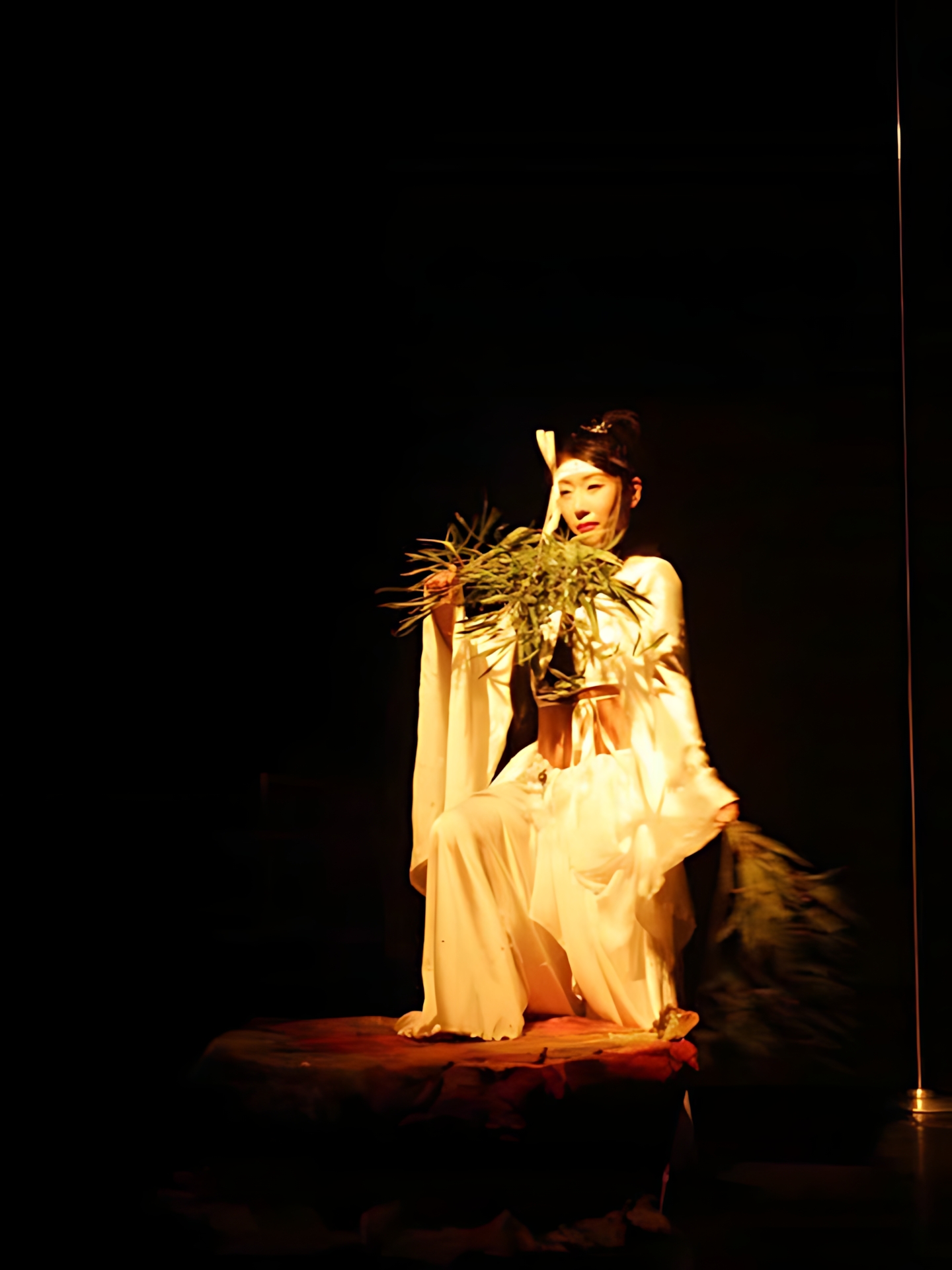 Art Dance SAFARI vol.2 05