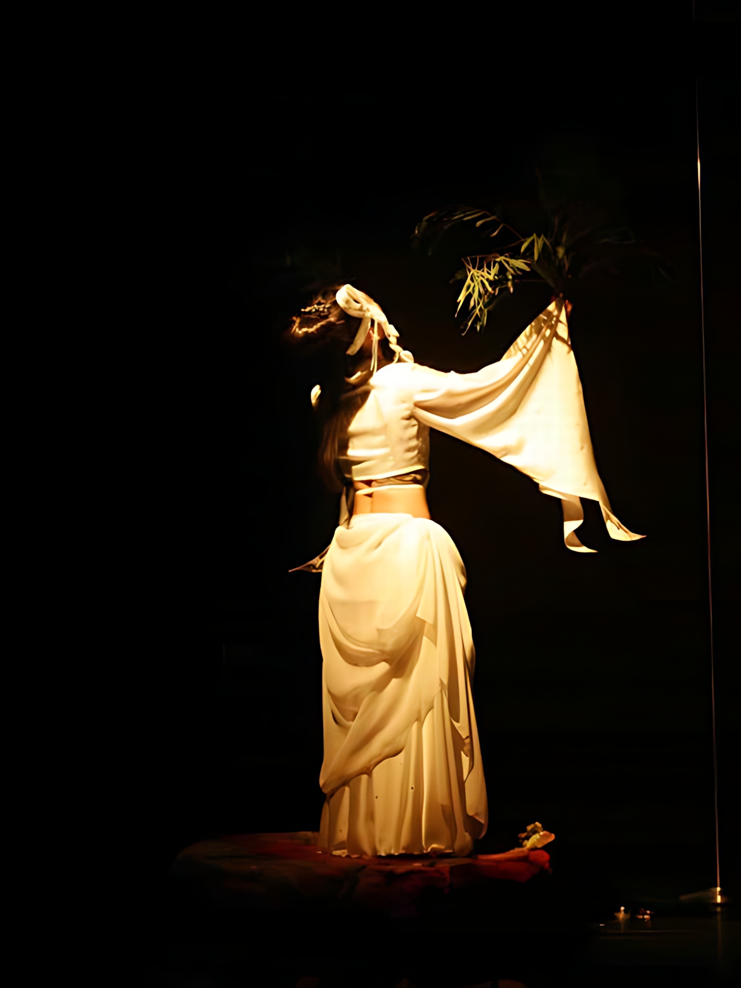 Art Dance SAFARI vol.2 06
