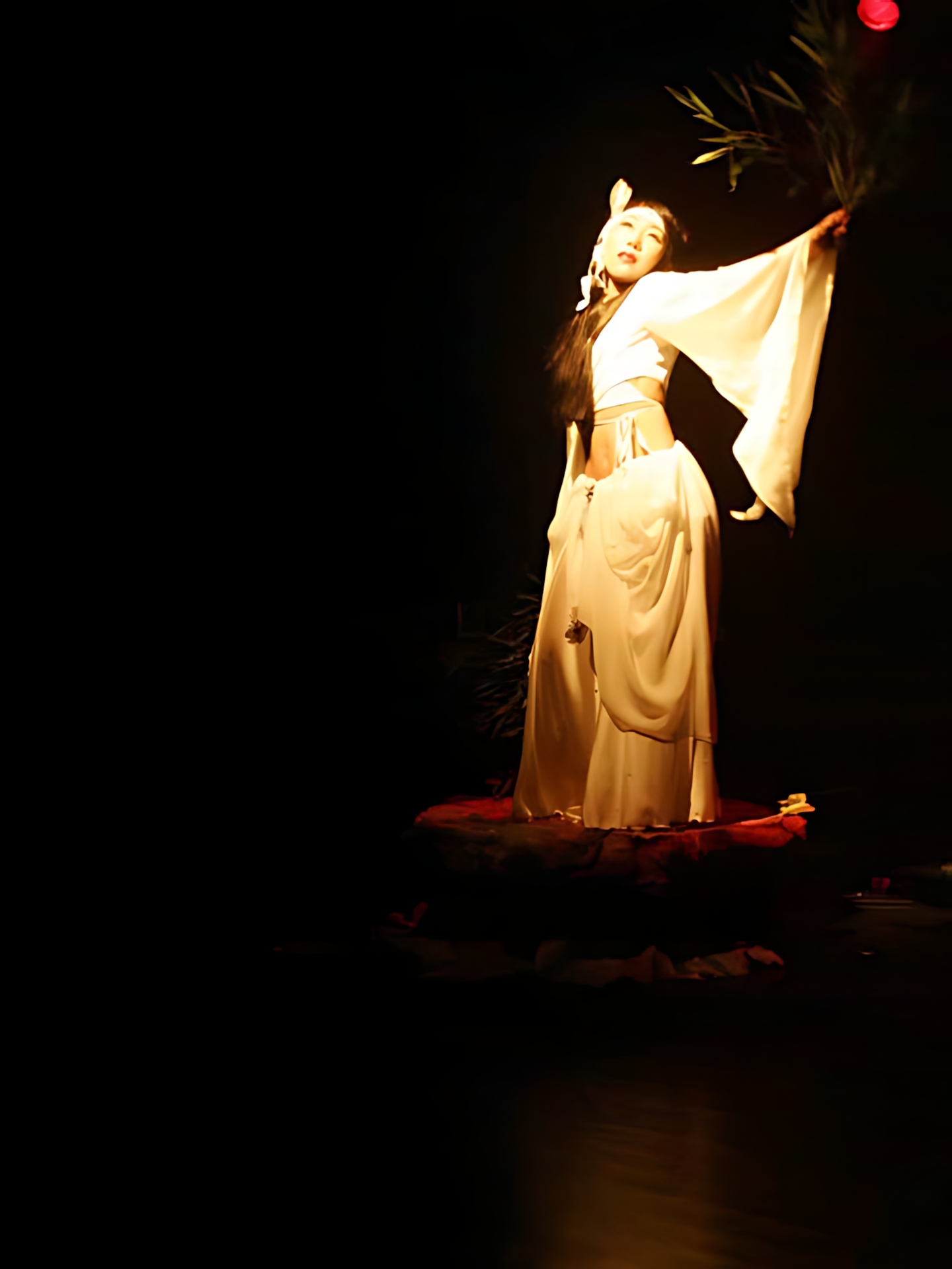 Art Dance SAFARI vol.2 07