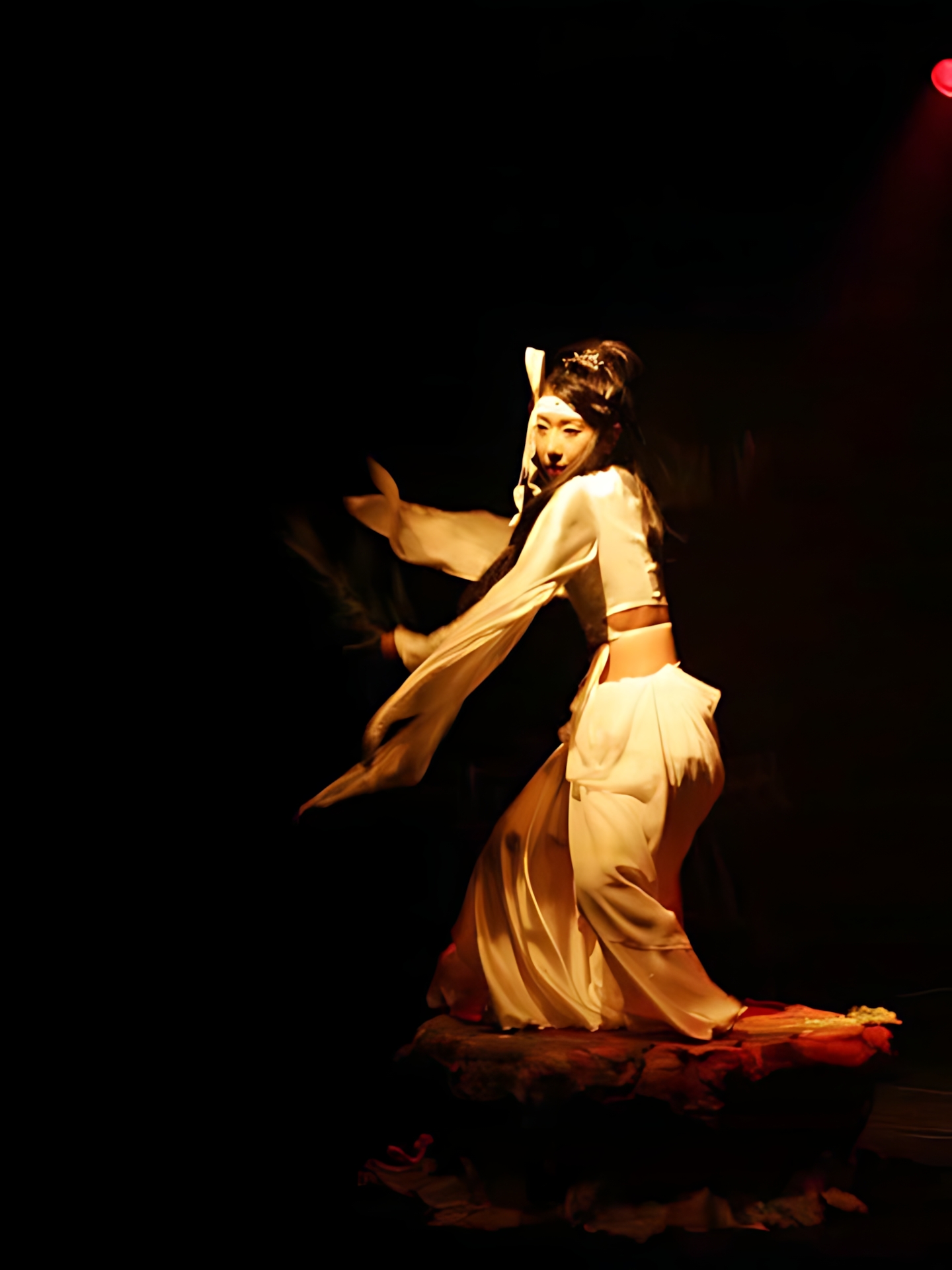 Art Dance SAFARI vol.2 08