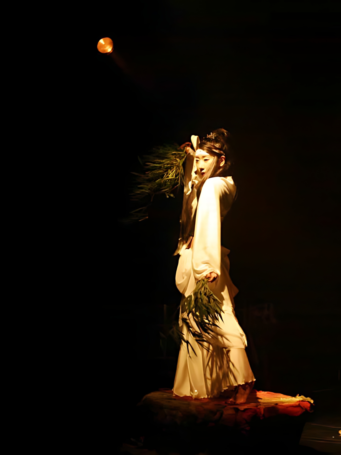 Art Dance SAFARI vol.2 09