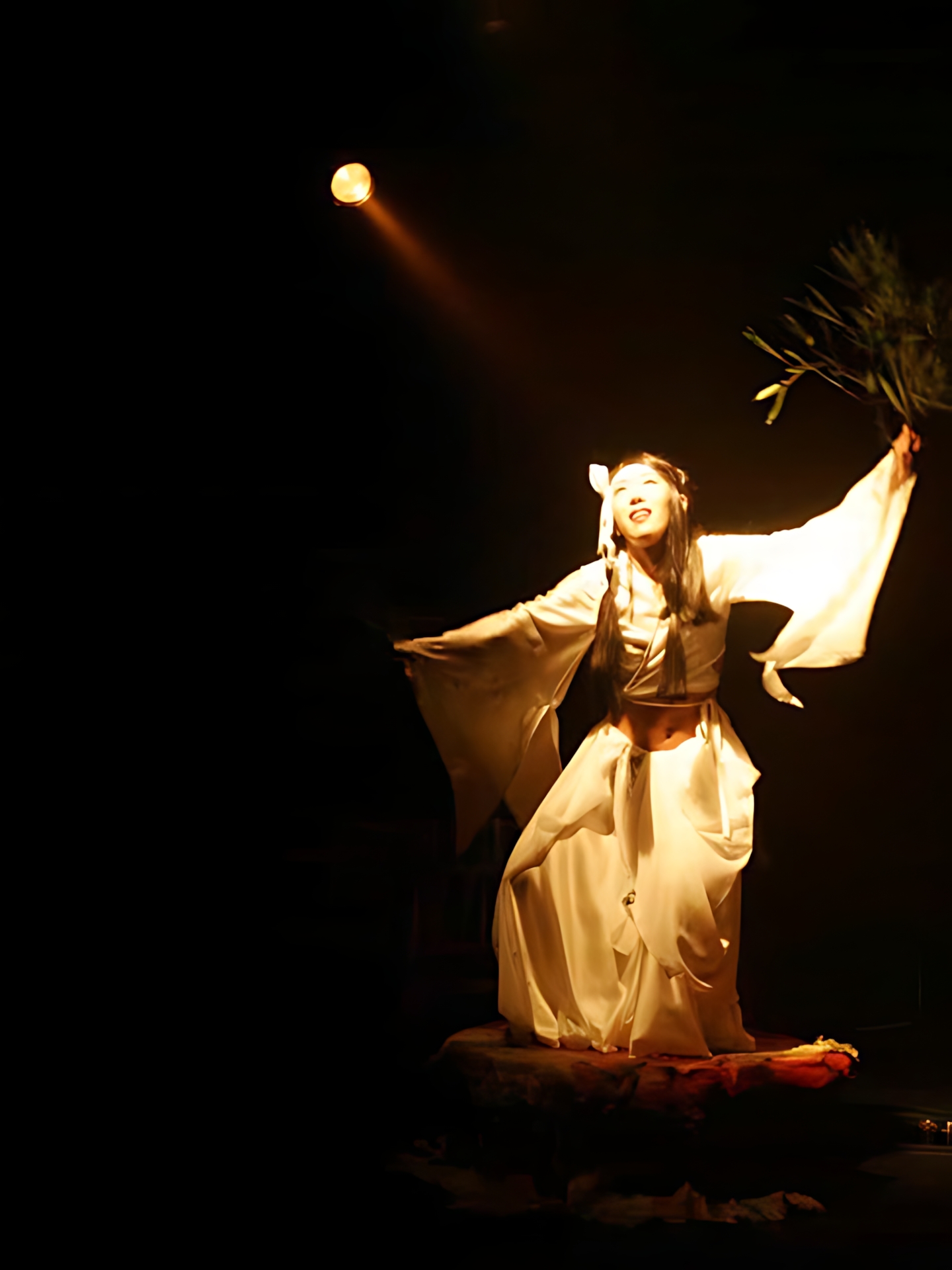 Art Dance SAFARI vol.2 10