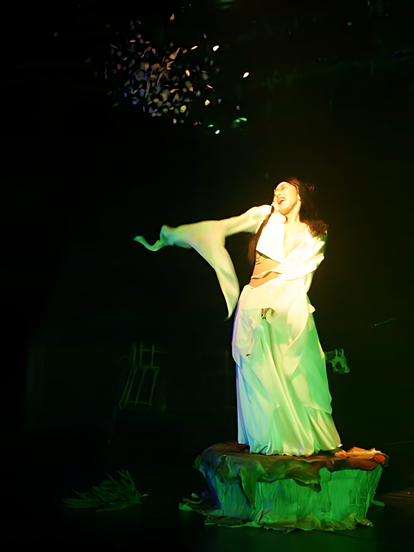 Art Dance SAFARI vol.2 11