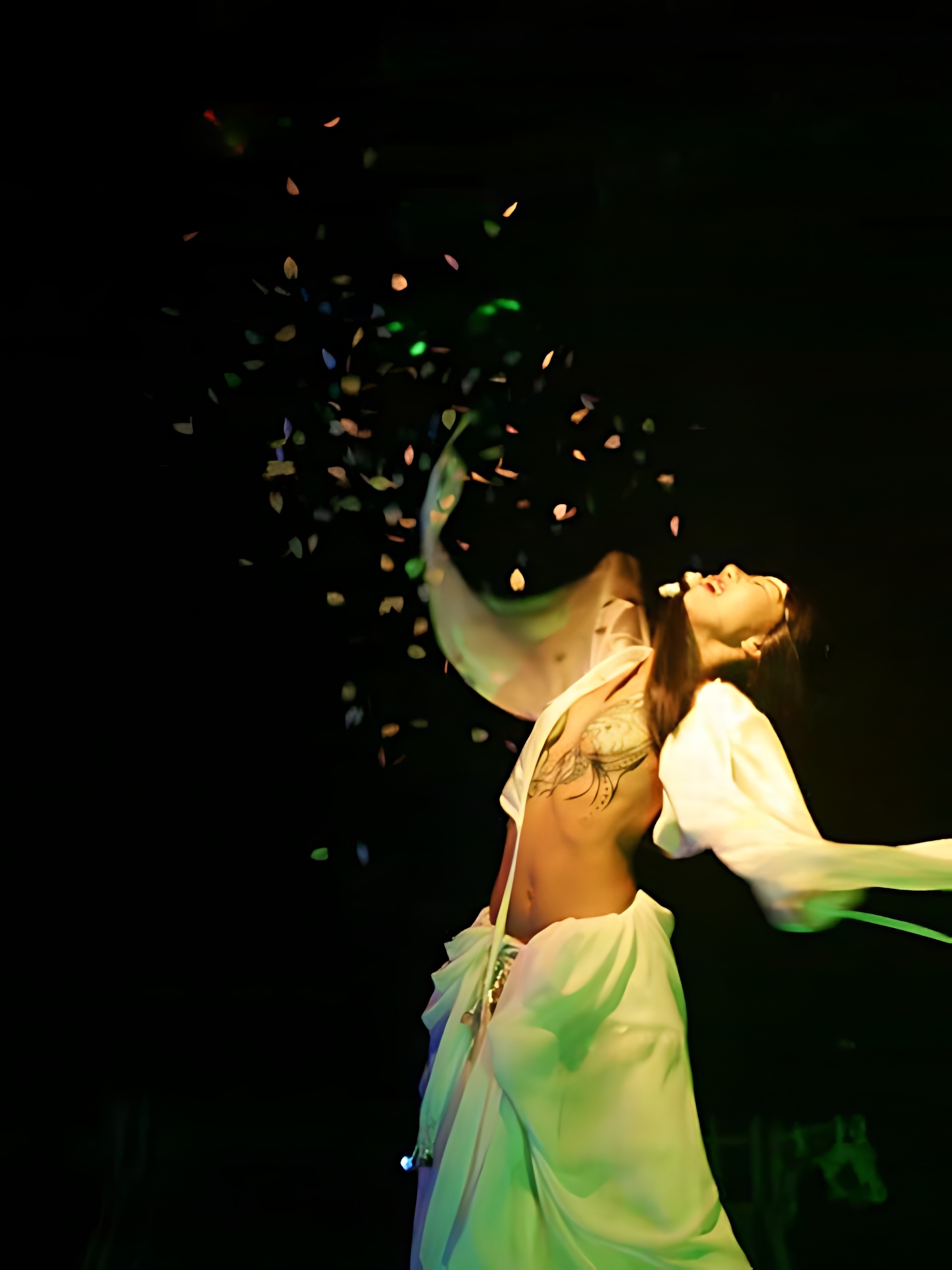 Art Dance SAFARI vol.2 12