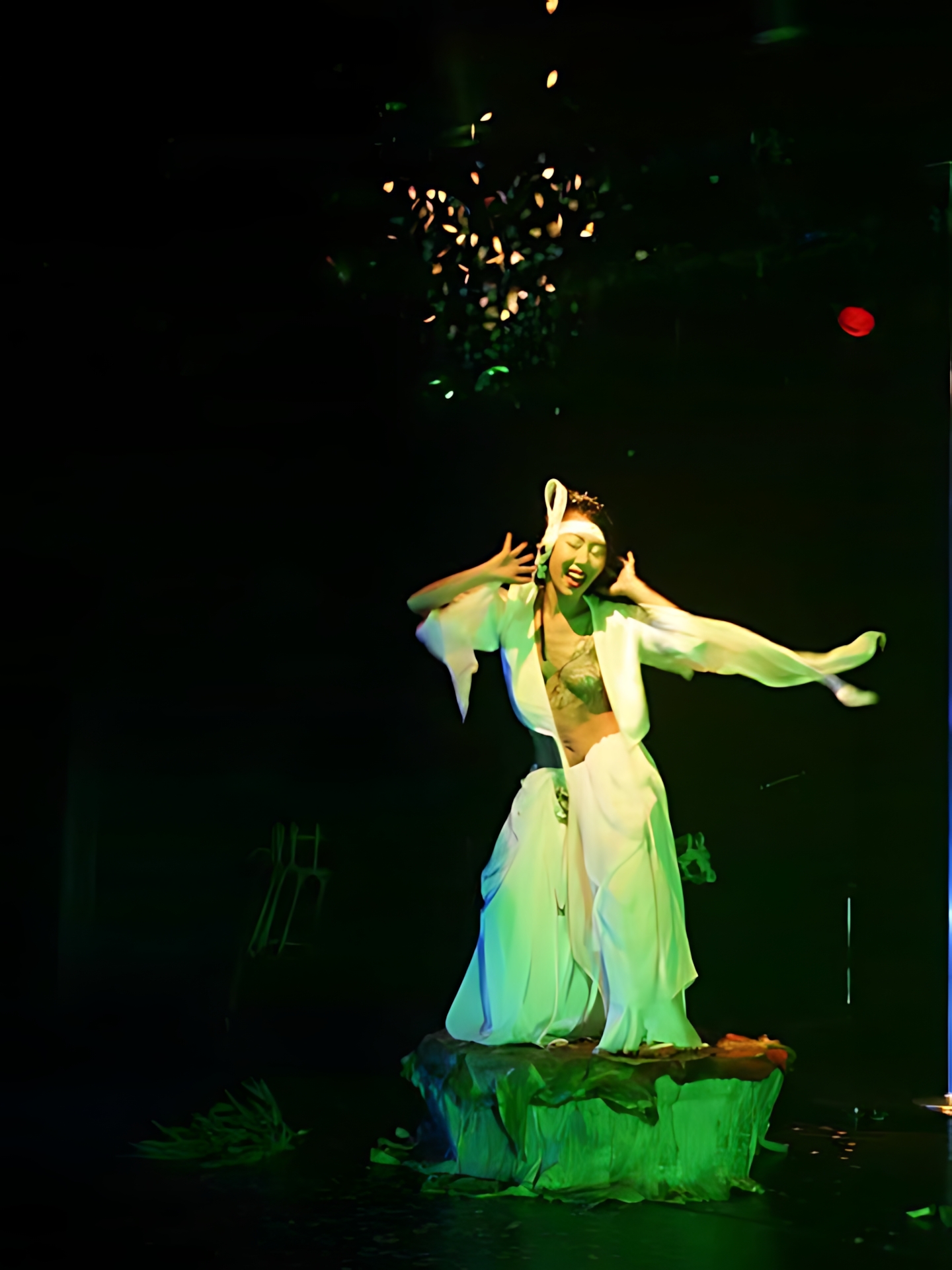 Art Dance SAFARI vol.2 13