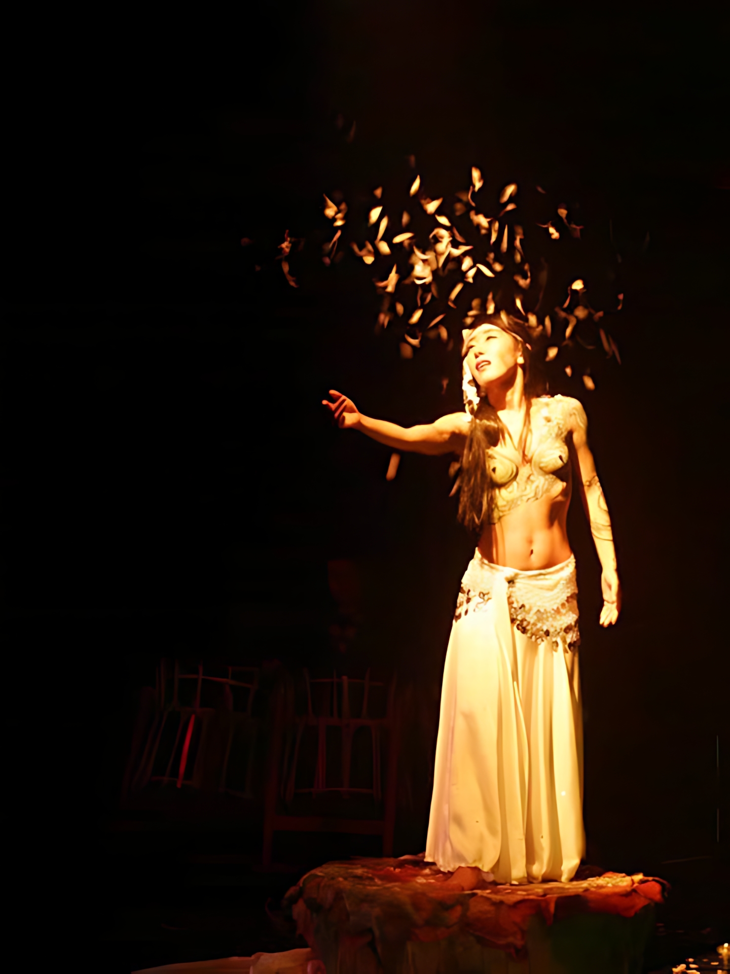 Art Dance SAFARI vol.2 15