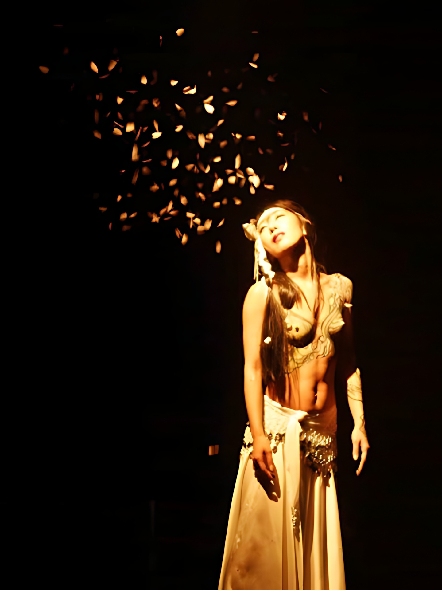 Art Dance SAFARI vol.2 16