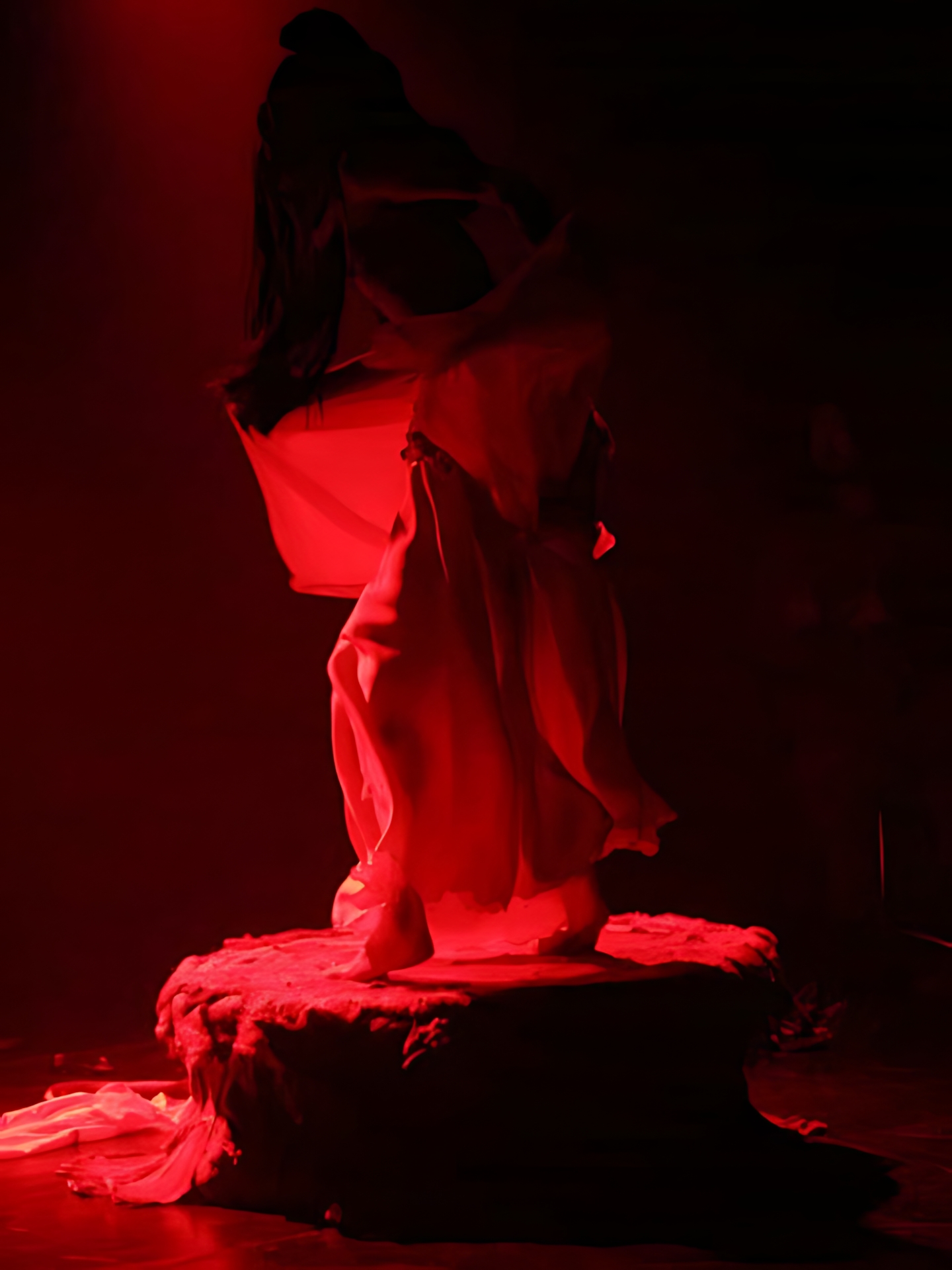Art Dance SAFARI vol.2 17