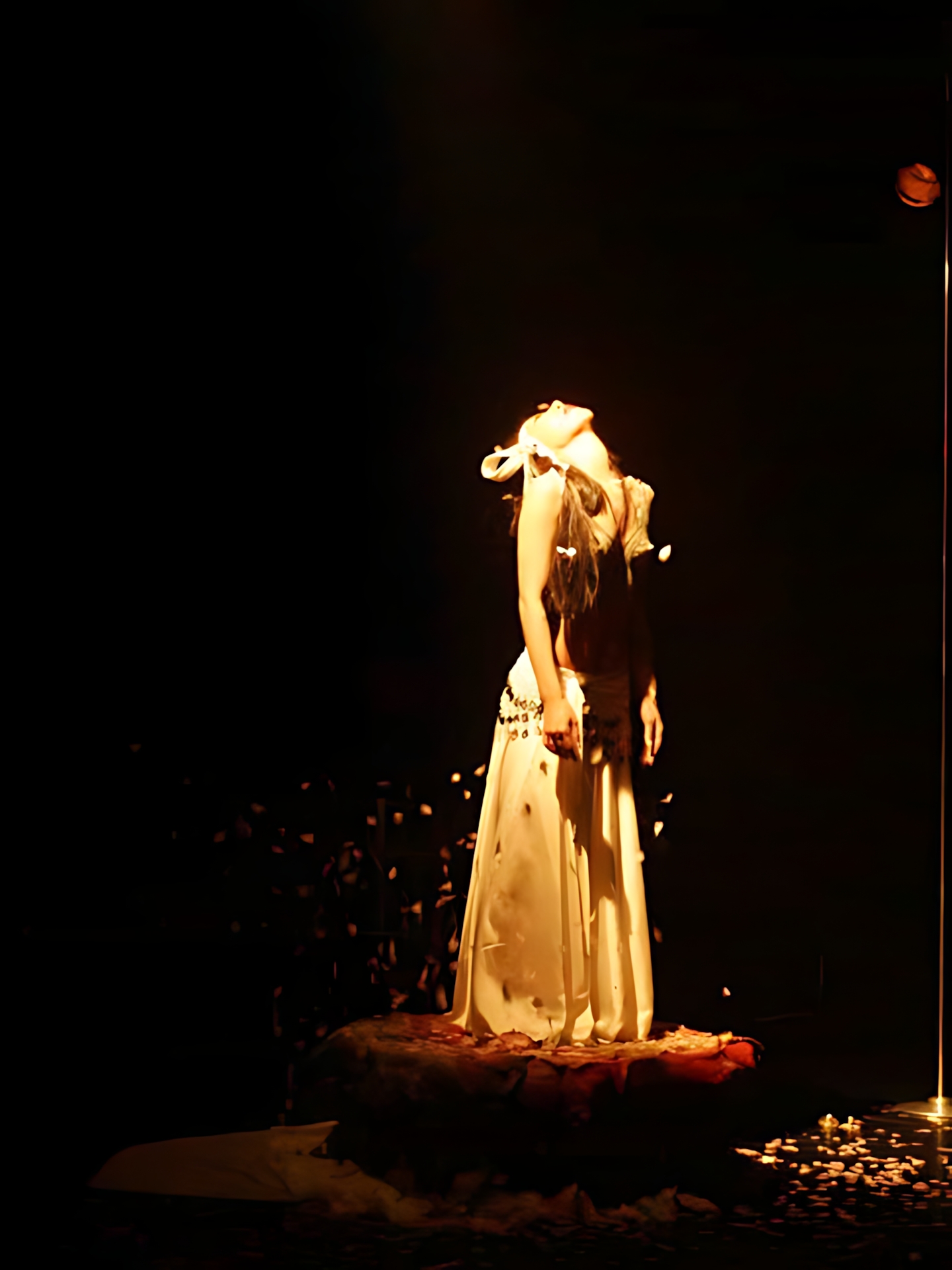 Art Dance SAFARI vol.2 18